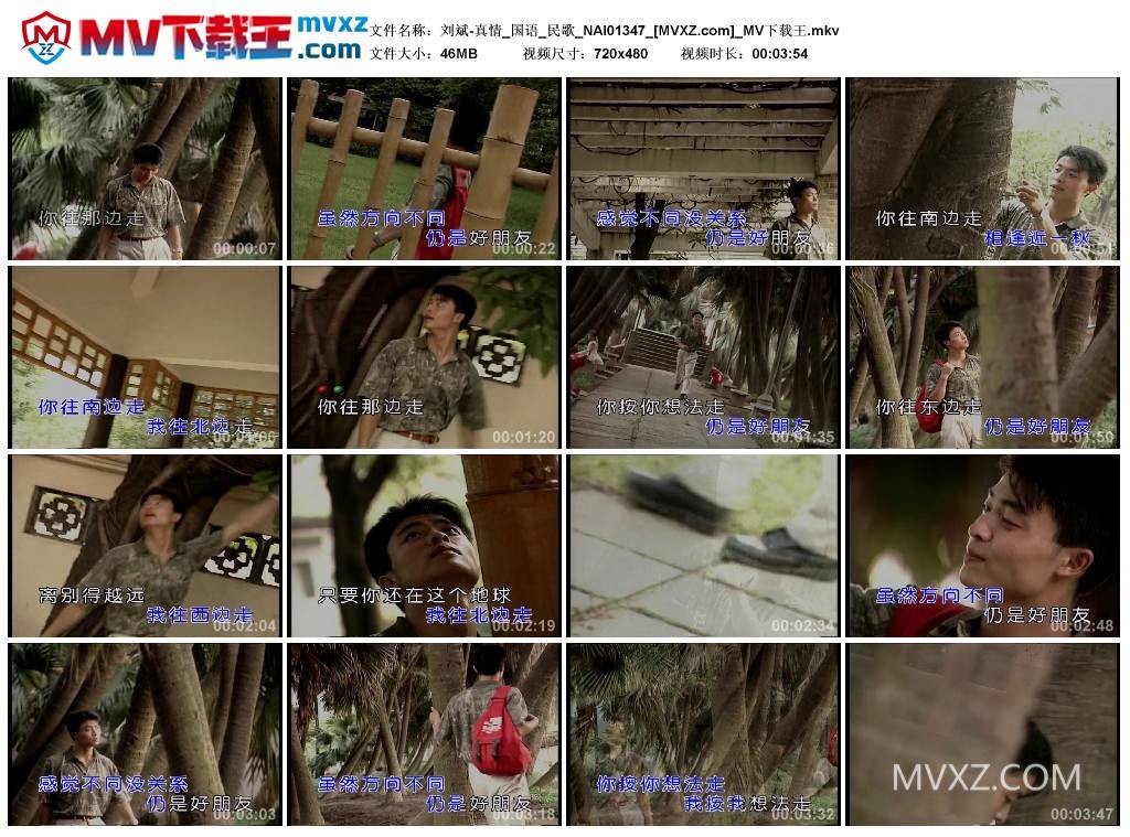 刘斌-真情_国语_民歌_NAI01347